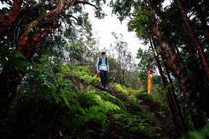 BIB: 
                            <button type="button" onclick="openModal(26203765)" class="btn btn-primary btn-sm float-right btn-popup" data-toggle="modal" data-target=".modal-high-quality">
                        <i class="fas fa-shopping-cart"></i> Add to Cart
                    </button>
                                            <button type="button" onclick="isThisMe(26203765, true)" class="btn btn-success btn-sm float-right btn-popup btn-isme hidden" data-toggle="tooltip" data-placement="bottom" title="นี่คือรูปของคุณใช่ไหม คลิกที่นี่เพื่อเอาเข้าอัลบั้ม">
                        <i class="fas fa-plus"></i> Add to album
                    </button>
                    <button type="button" onclick="isThisMe(26203765, false)" class="btn btn-warning btn-sm float-right btn-popup btn-isnotme hidden">
                        <i class="fas fa-ban"></i> Remove from album
                    </button>